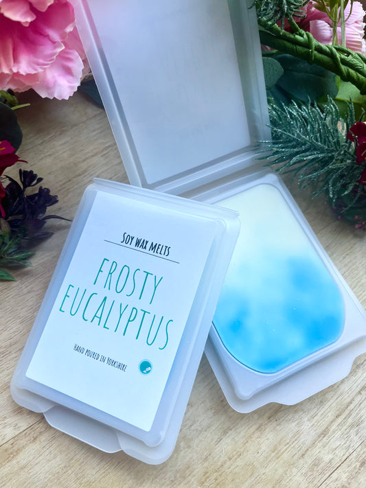 Frosty eucalyptus soy wax melt